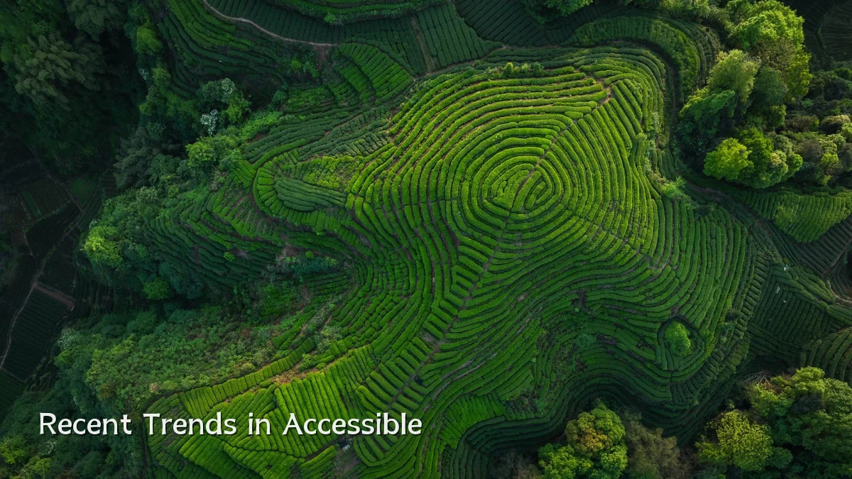 Recent Trends in Accessible