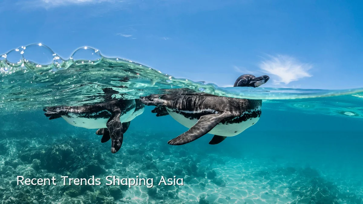 Recent Trends Shaping Asia