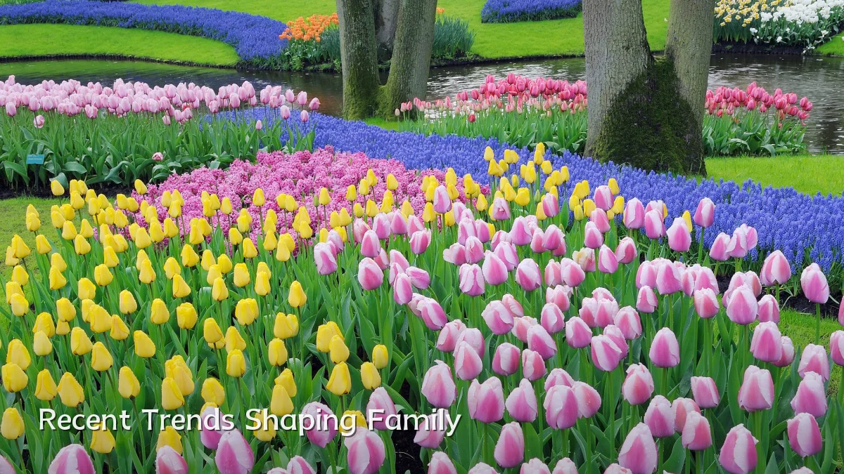 Recent Trends Shaping Family