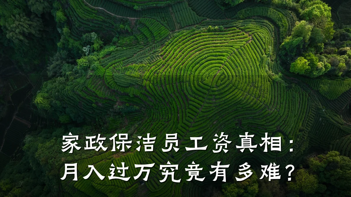 家政保洁员工资真相:月入过万究竟有多难?