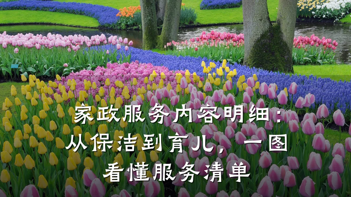 家政服务内容明细：从保洁到育儿，一图看懂服务清单