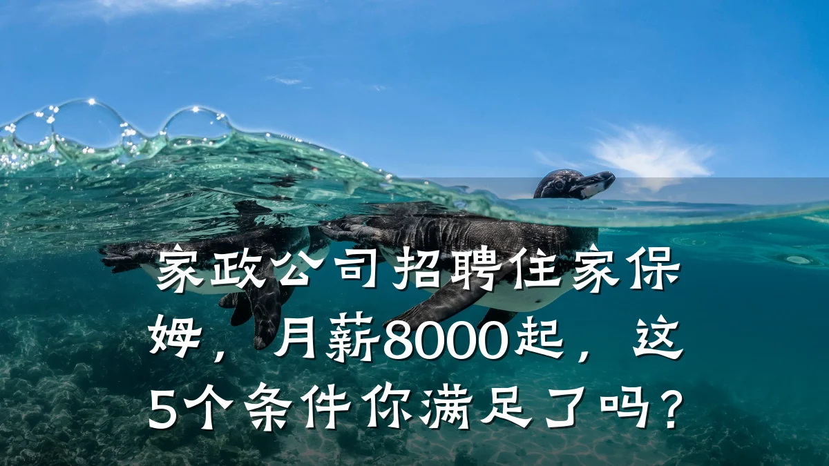 家政公司招聘住家保姆,月薪8000起,这5个条件你满足了吗?