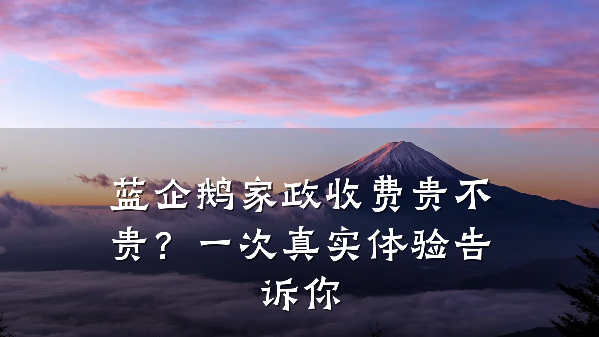 蓝企鹅家政收费贵不贵?一次真实体验告诉你