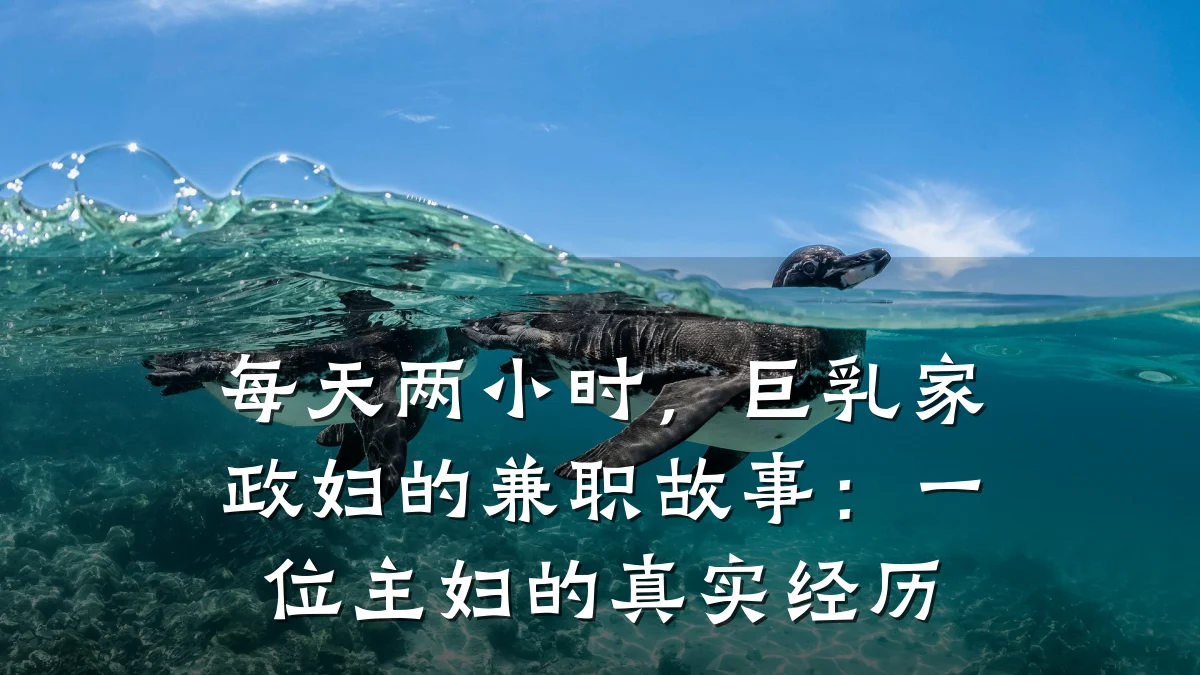 每天两小时,巨乳家政妇的兼职故事:一位主妇的真实经历