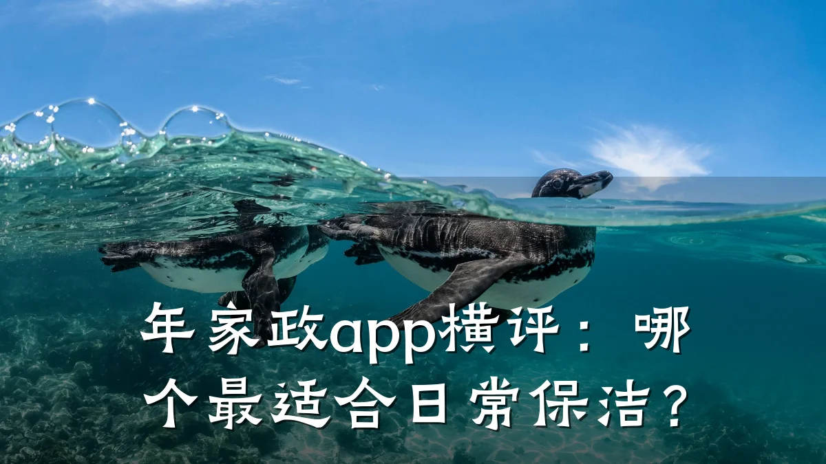 年家政app横评:哪个最适合日常保洁?