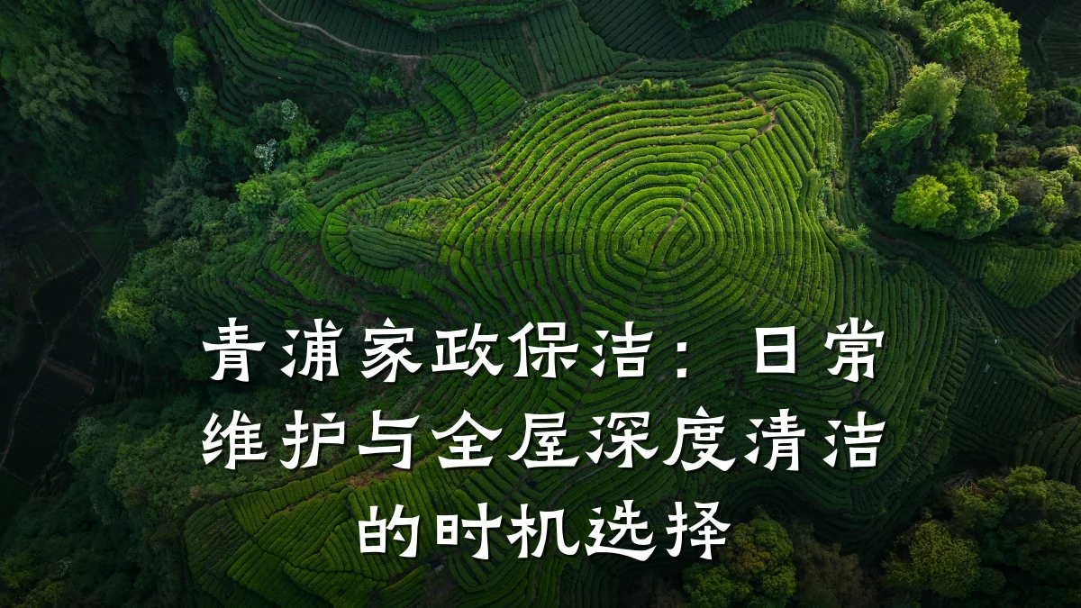 青浦家政保洁:日常维护与全屋深度清洁的时机选择