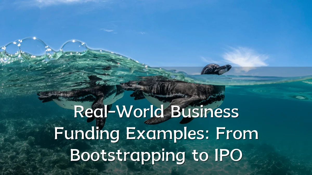 Real-World Business Funding Examples: From Bootstrapping to IPO