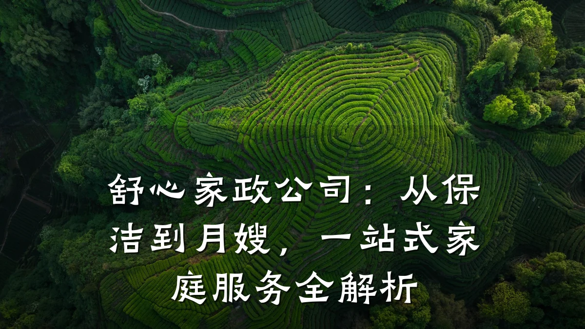 舒心家政公司:从保洁到月嫂,一站式家庭服务全解析