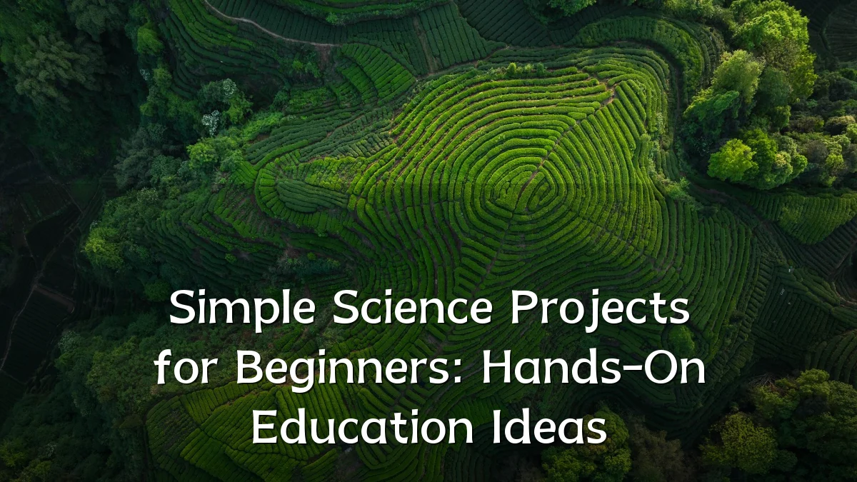 Simple Science Projects for Beginners: Hands-On Education Ideas