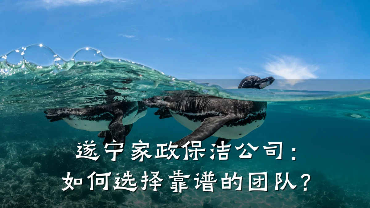 遂宁家政保洁公司：如何选择靠谱的团队？