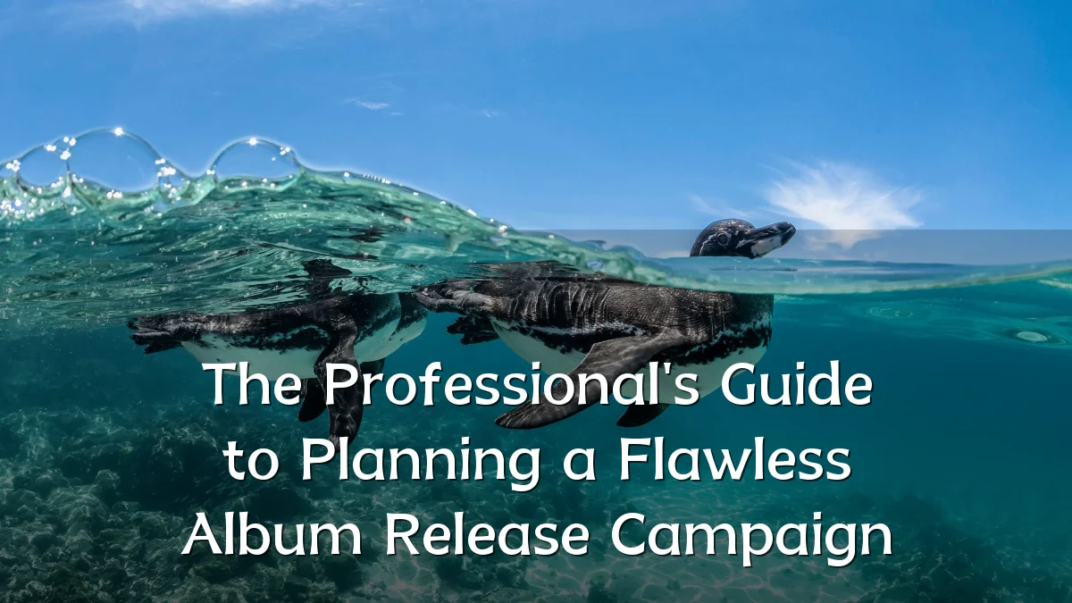 The Professional's Guide to Planning a Flawless Album Release Campaign
