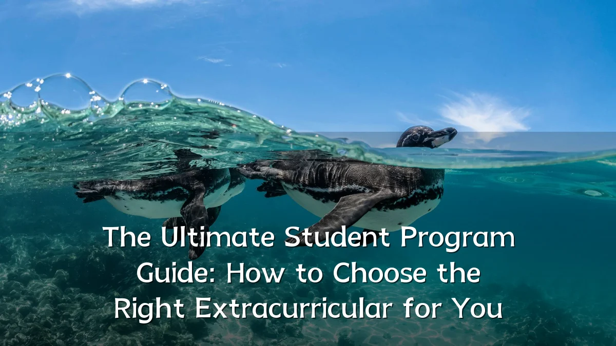 The Ultimate Student Program Guide: How to Choose the Right Extracurricular for You