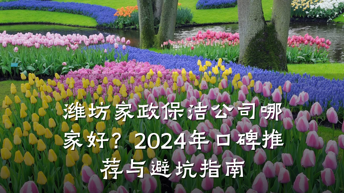 潍坊家政保洁公司哪家好?2024年口碑推荐与避坑指南
