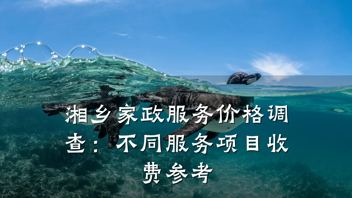 湘乡家政服务价格调查:不同服务项目收费参考