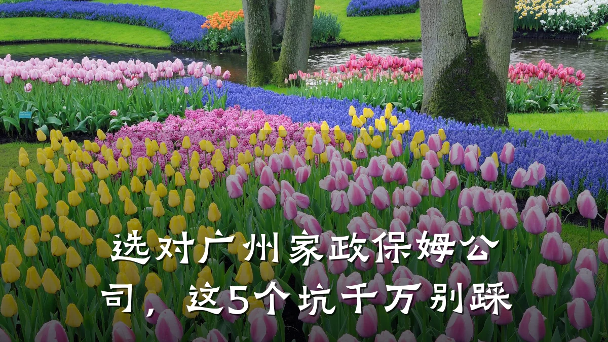选对广州家政保姆公司,这5个坑千万别踩