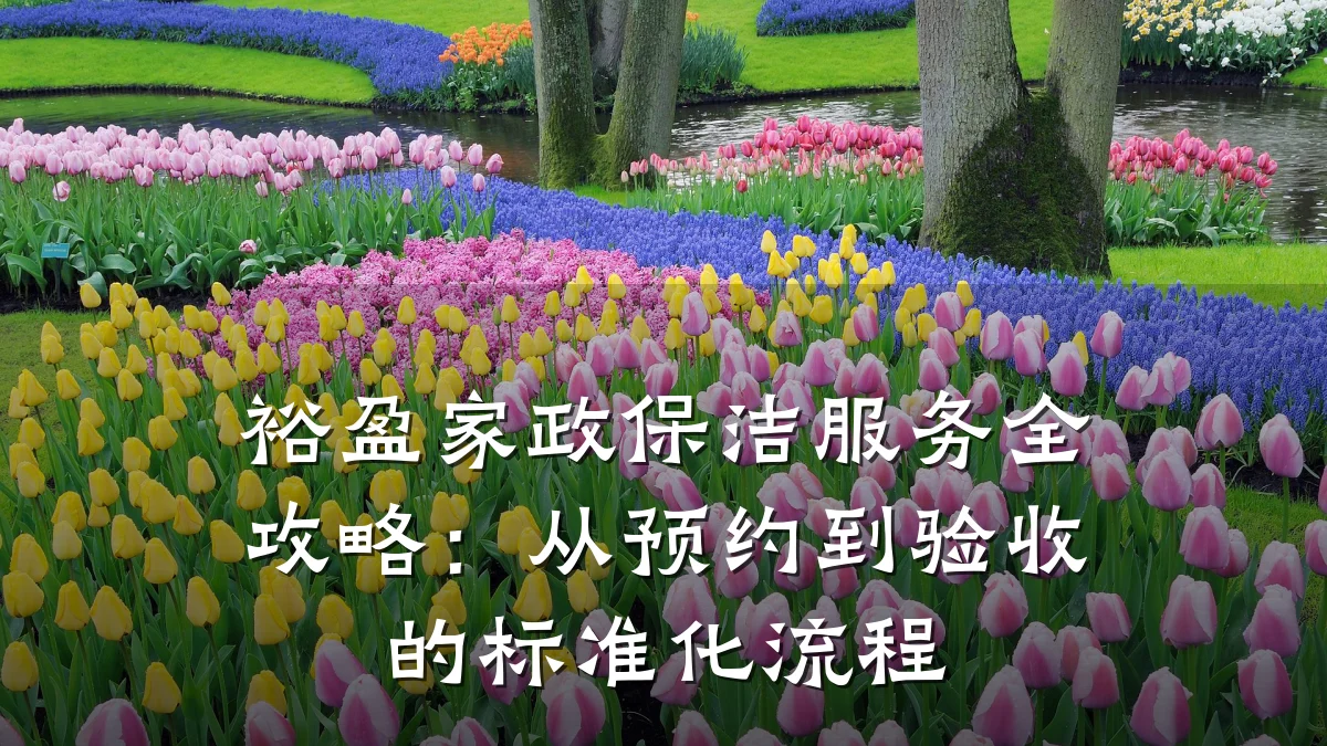 裕盈家政保洁服务全攻略:从预约到验收的标准化流程