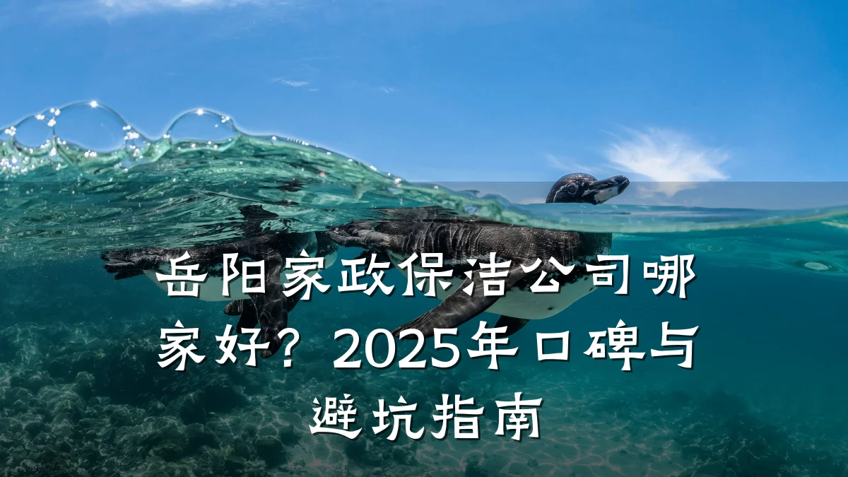 岳阳家政保洁公司哪家好？2025年口碑与避坑指南