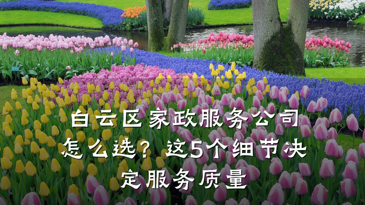 白云区家政服务公司怎么选？这5个细节决定服务质量