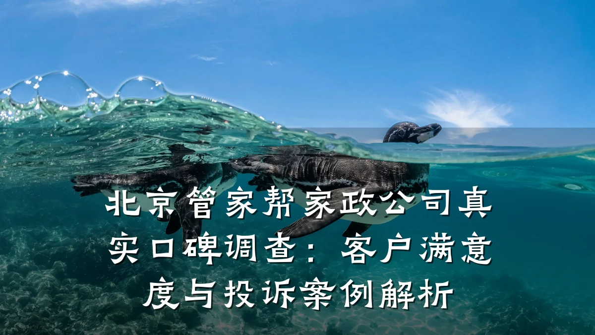 北京管家帮家政公司真实口碑调查:客户满意度与投诉案例解析