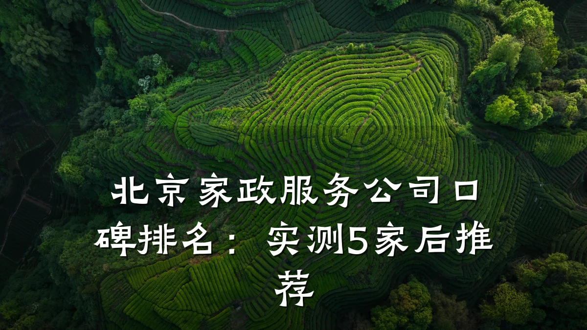 北京家政服务公司口碑排名：实测5家后推荐