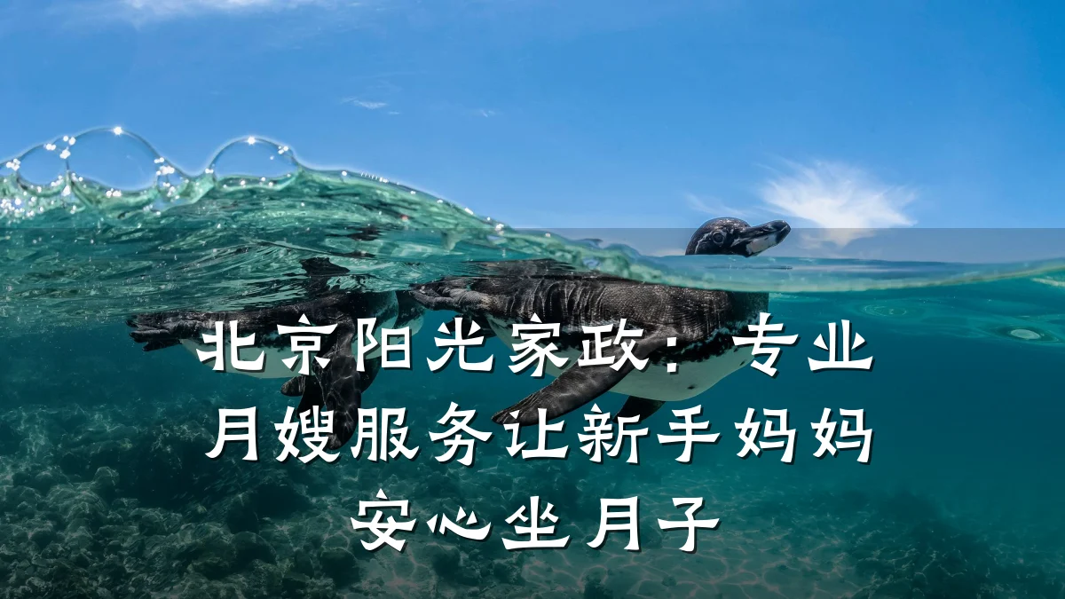 北京阳光家政:专业月嫂服务让新手妈妈安心坐月子