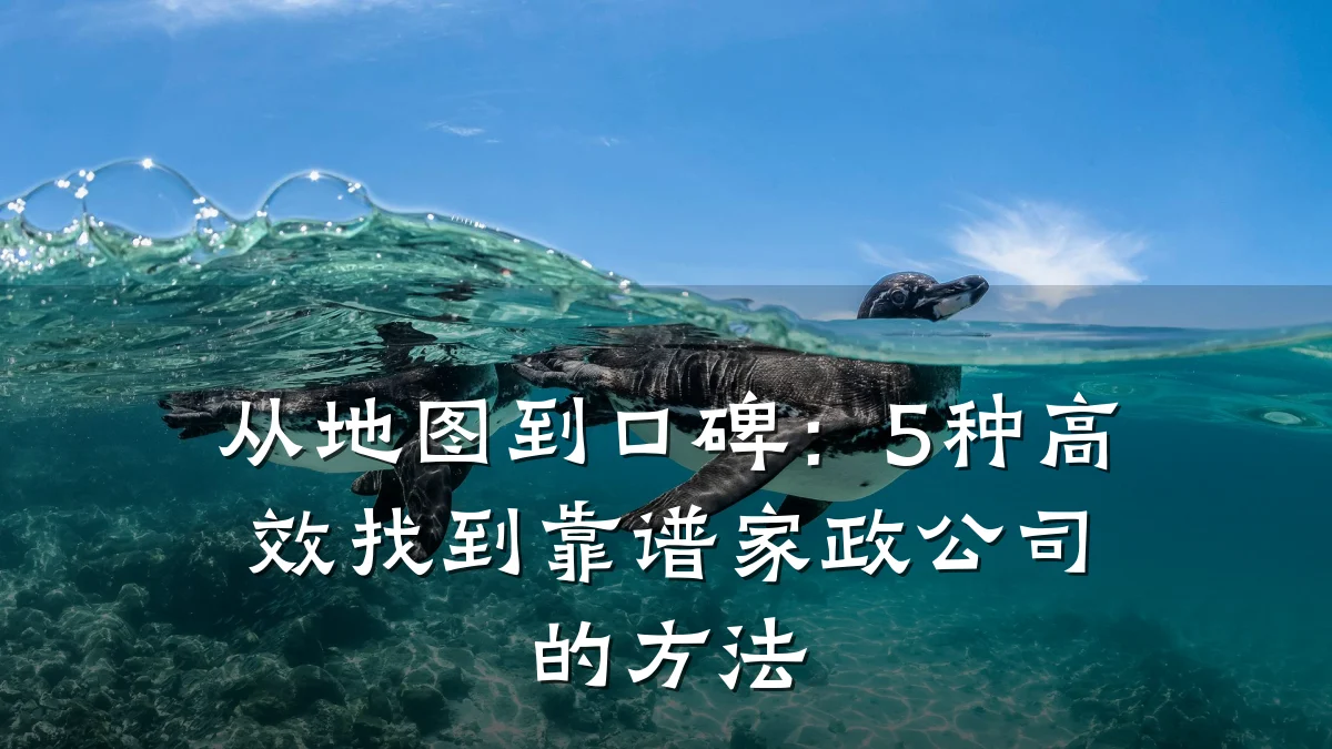 从地图到口碑：5种高效找到靠谱家政公司的方法
