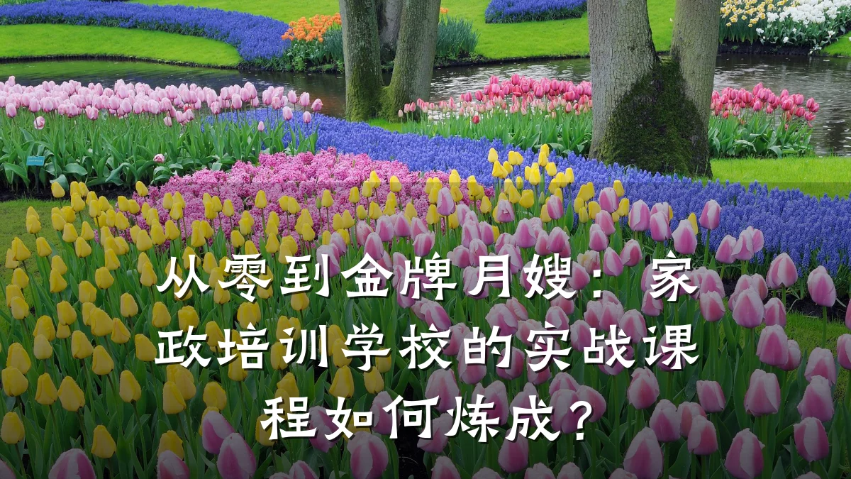 从零到金牌月嫂:家政培训学校的实战课程如何炼成?