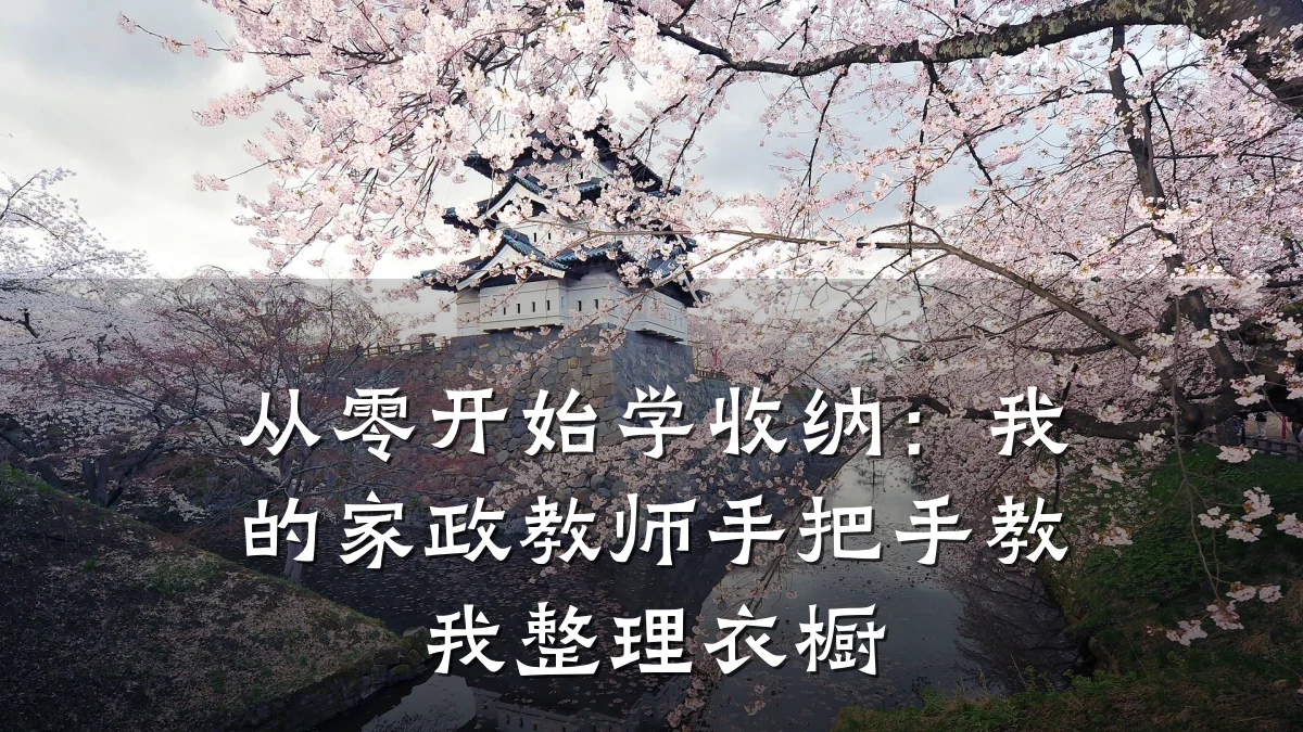 从零开始学收纳:我的家政教师手把手教我整理衣橱