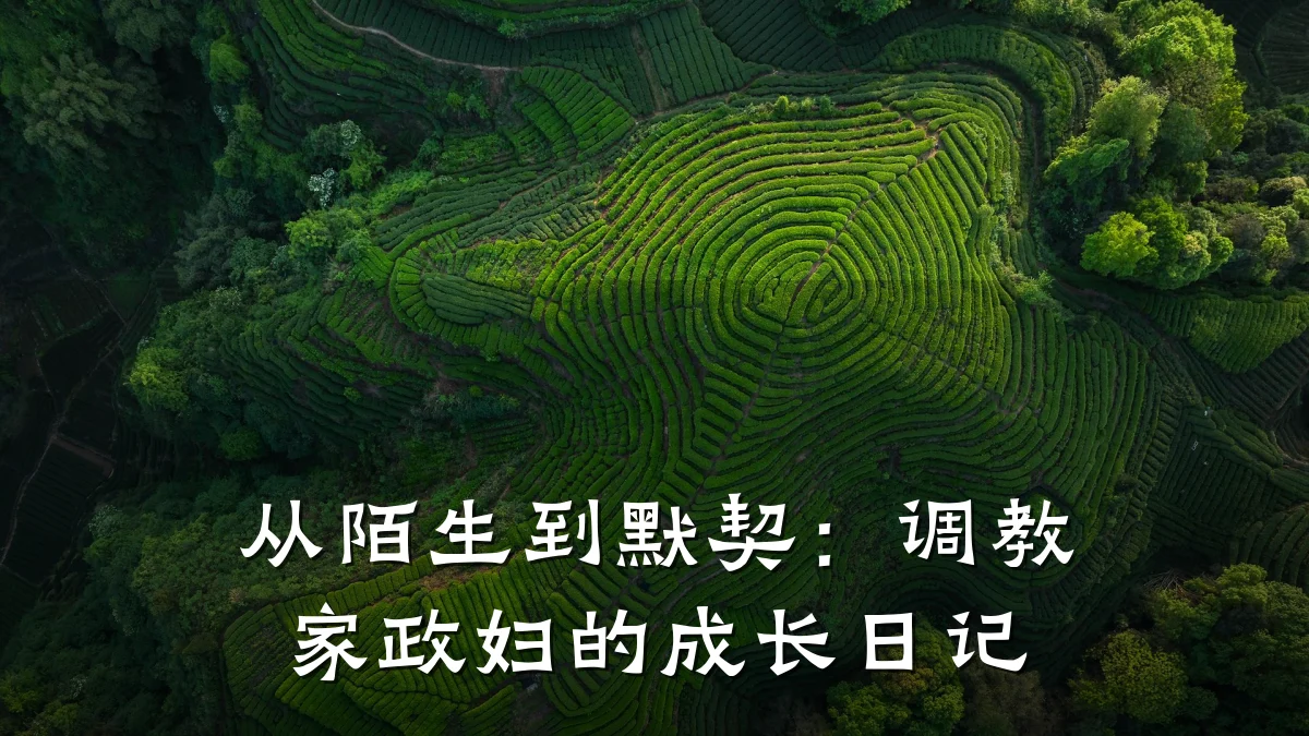从陌生到默契:调教家政妇的成长日记
