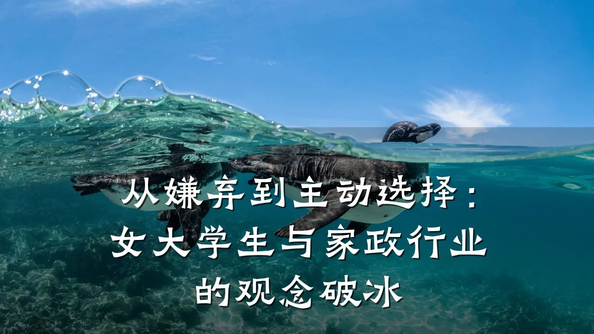 从嫌弃到主动选择:女大学生与家政行业的观念破冰