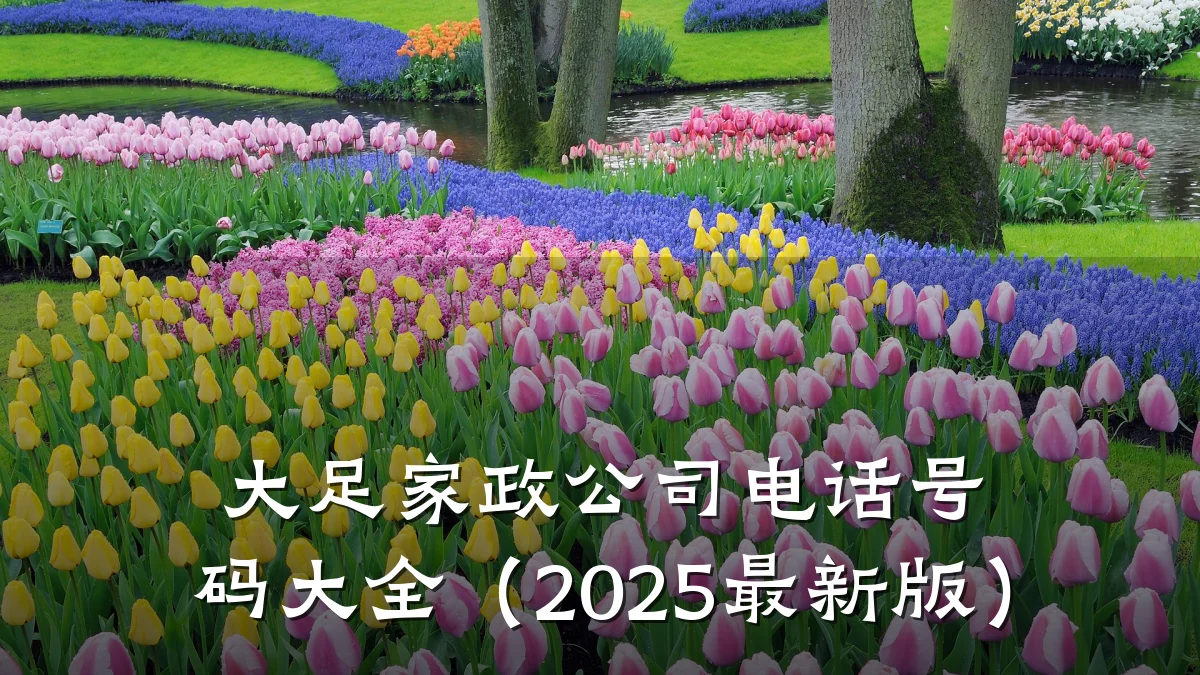 大足家政公司电话号码大全（2025最新版）