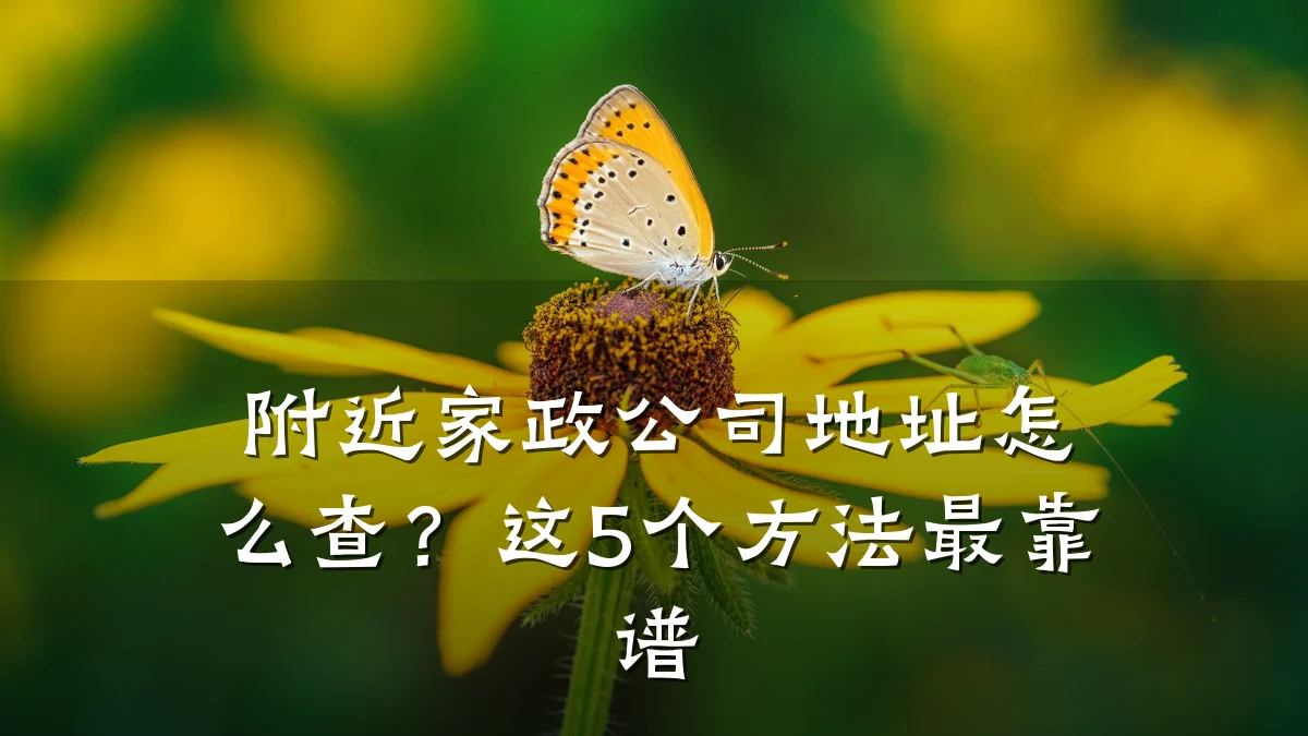 附近家政公司地址怎么查?这5个方法最靠谱
