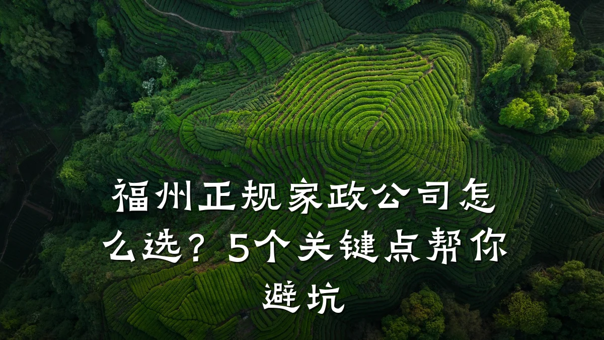 福州正规家政公司怎么选?5个关键点帮你避坑