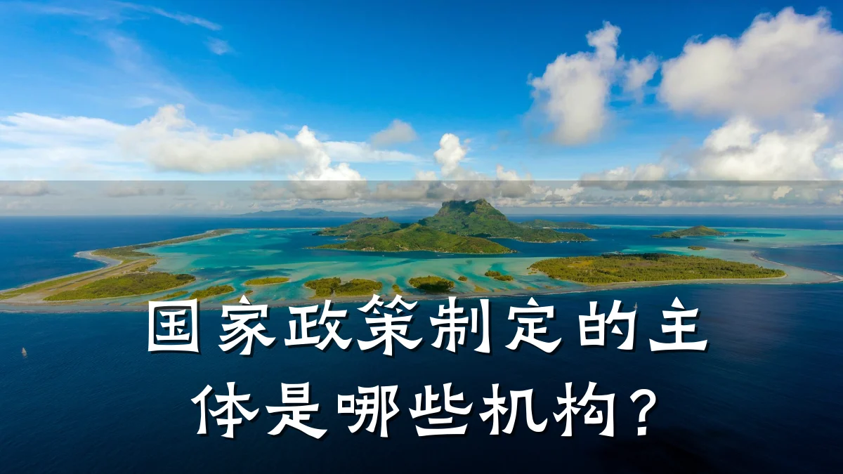 国家政策制定的主体是哪些机构?