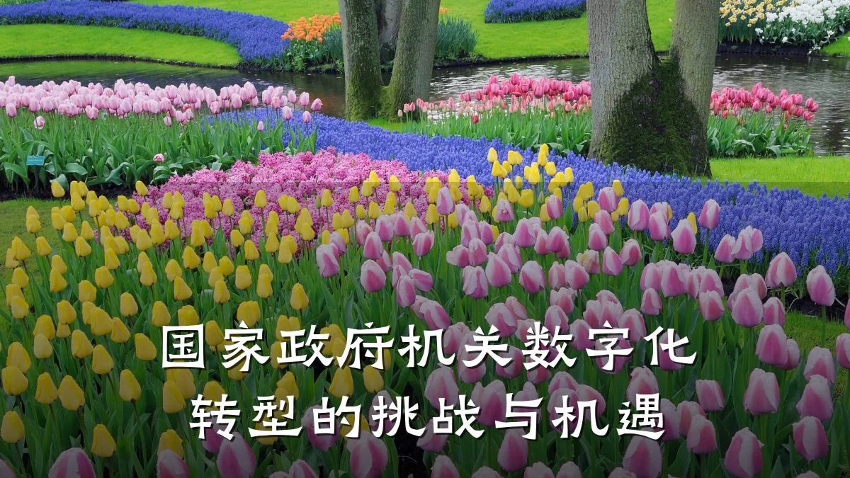 国家政府机关数字化转型的挑战与机遇