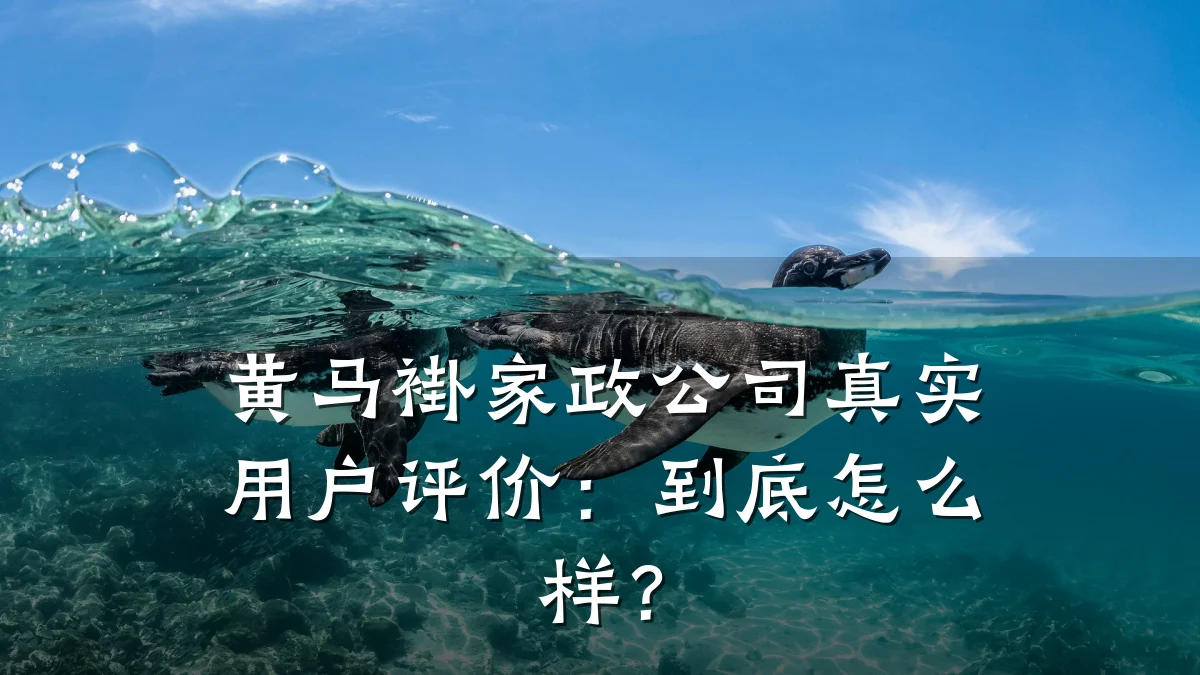 黄马褂家政公司真实用户评价:到底怎么样?