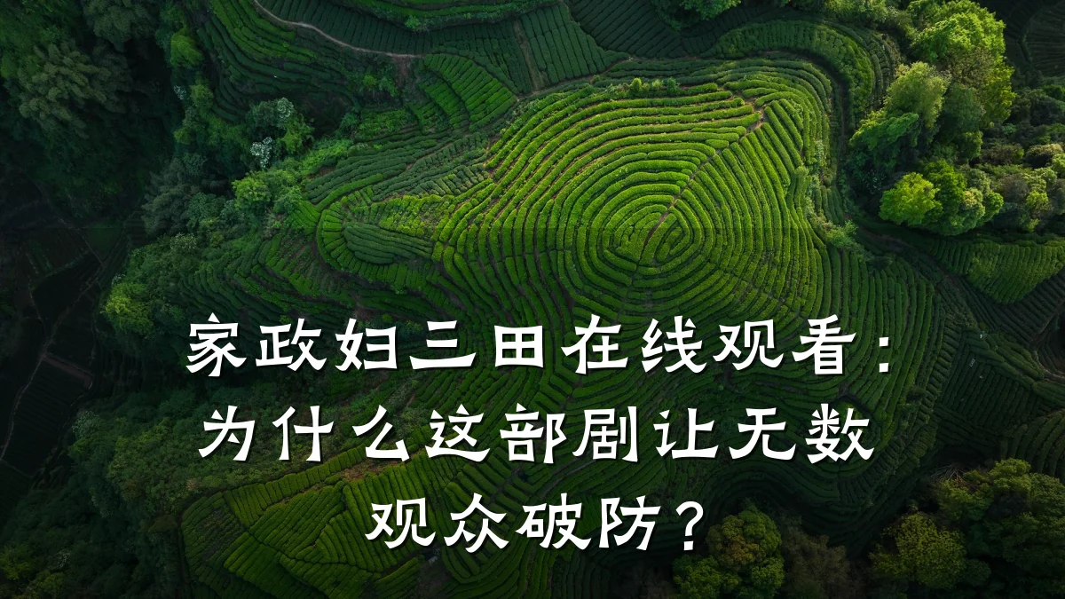 家政妇三田在线观看:为什么这部剧让无数观众破防?