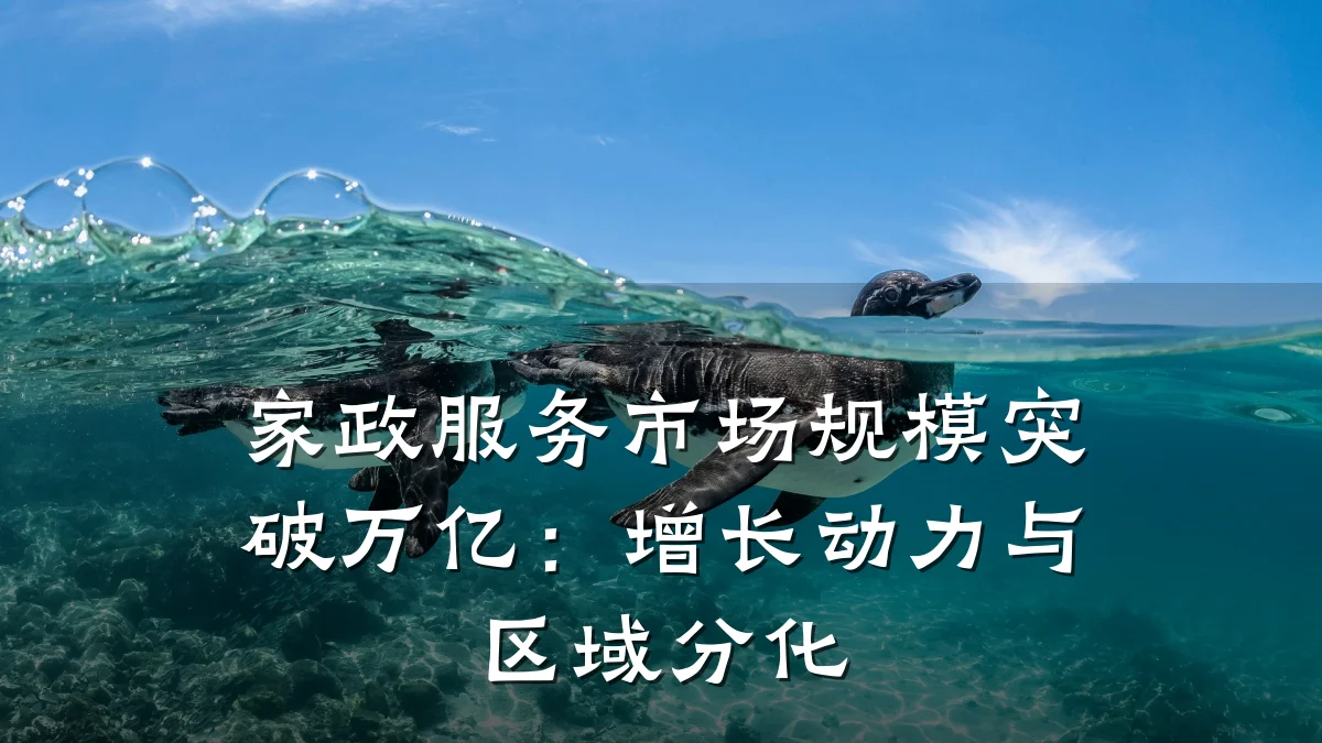 家政服务市场规模突破万亿:增长动力与区域分化