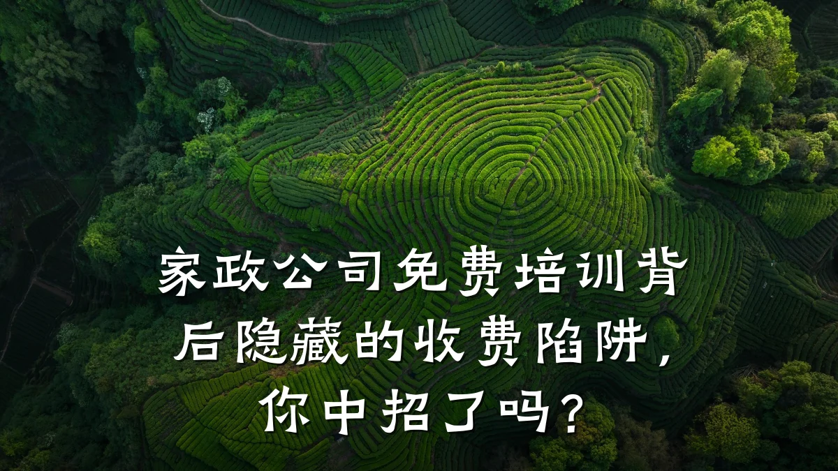 家政公司免费培训背后隐藏的收费陷阱，你中招了吗？
