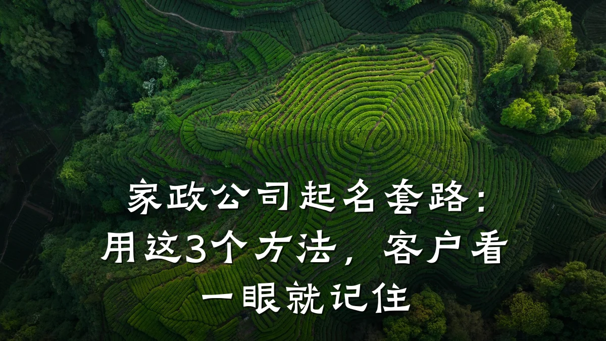 家政公司起名套路:用这3个方法,客户看一眼就记住