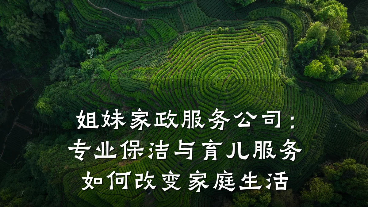 姐妹家政服务公司：专业保洁与育儿服务如何改变家庭生活