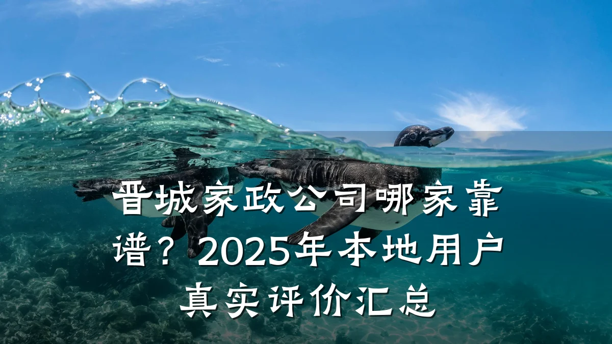 晋城家政公司哪家靠谱?2025年本地用户真实评价汇总