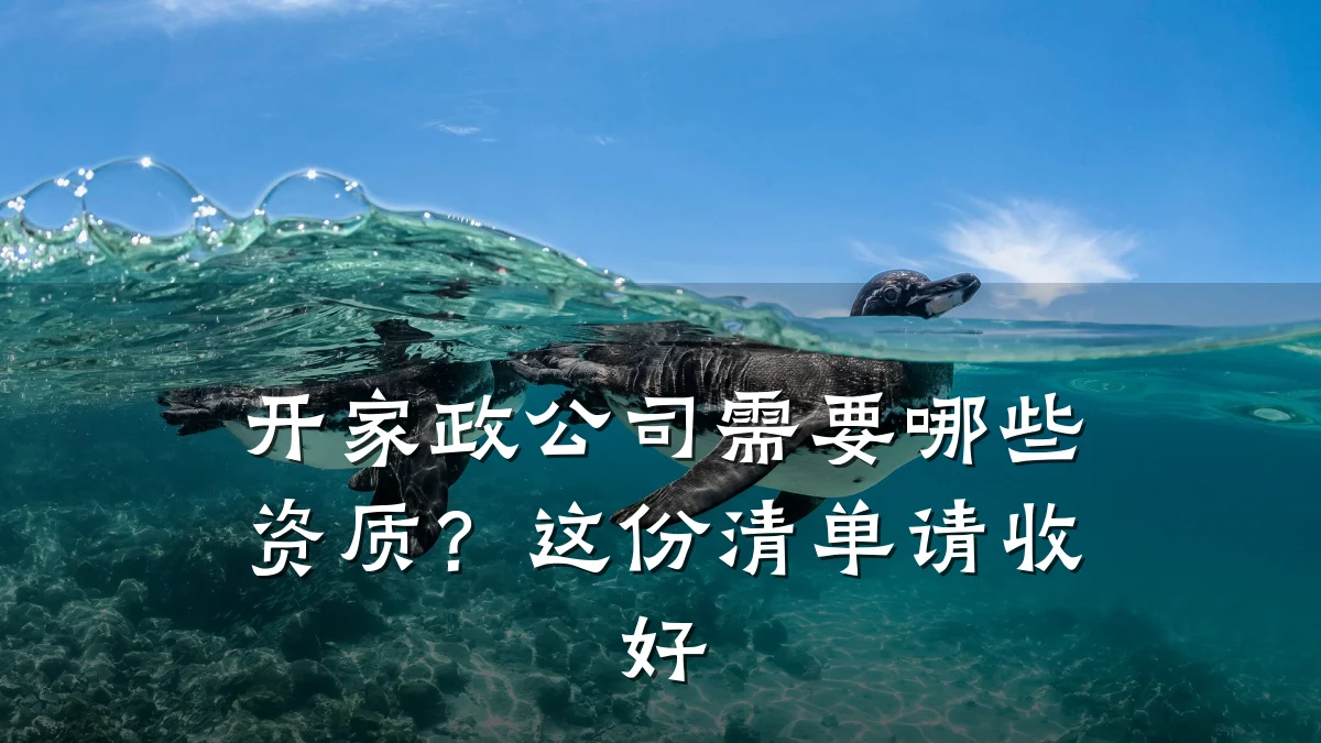 开家政公司需要哪些资质?这份清单请收好