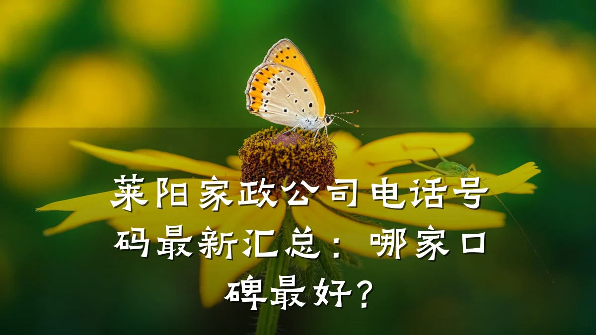 莱阳家政公司电话号码最新汇总:哪家口碑最好?