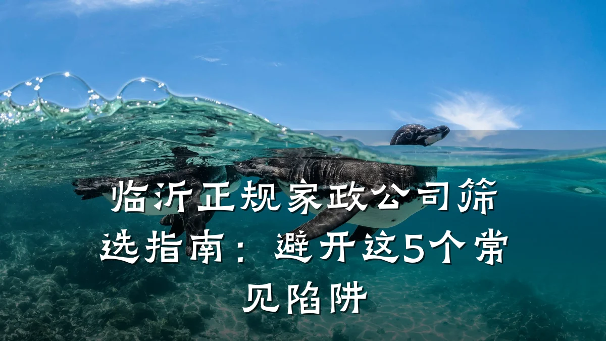 临沂正规家政公司筛选指南:避开这5个常见陷阱