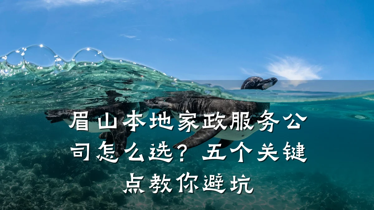 眉山本地家政服务公司怎么选?五个关键点教你避坑