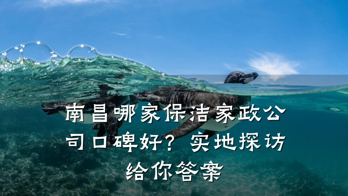 南昌哪家保洁家政公司口碑好?实地探访给你答案