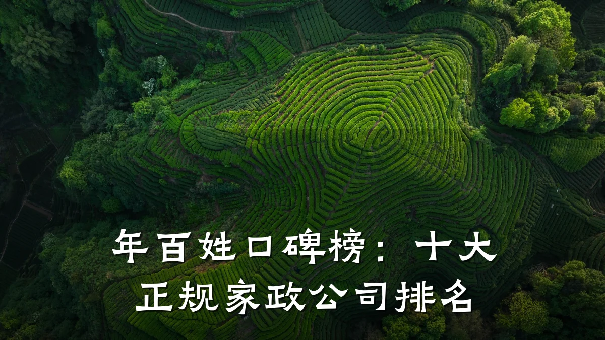 年百姓口碑榜：十大正规家政公司排名