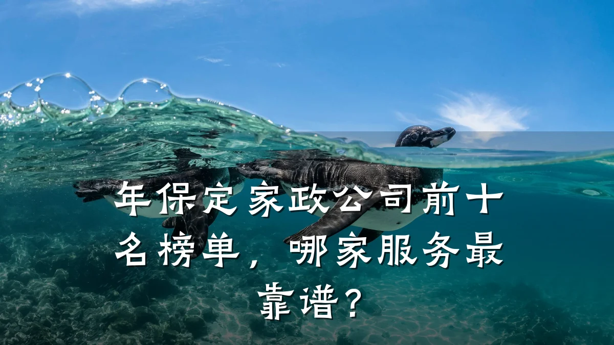 年保定家政公司前十名榜单，哪家服务最靠谱？
