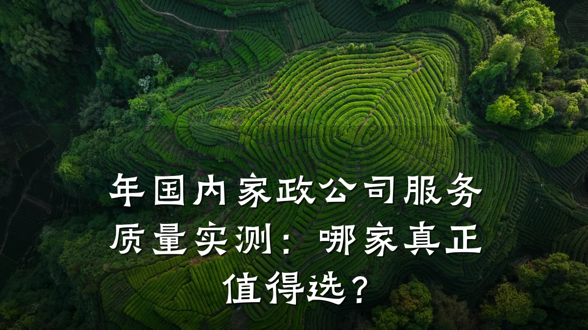 年国内家政公司服务质量实测:哪家真正值得选?